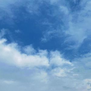 日亚州女人逼好叙服
