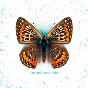 我要看中东国家大鸡巴精品
